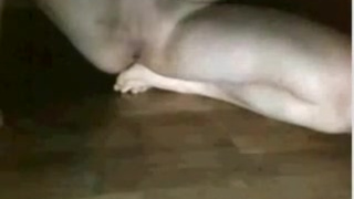 Одинокая барышня любит устраивать мастурбацию на камеру